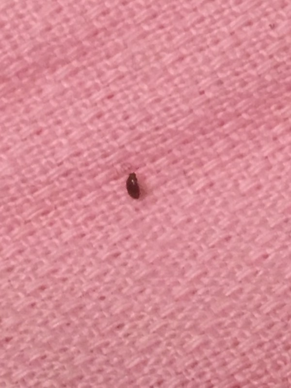 第381页
